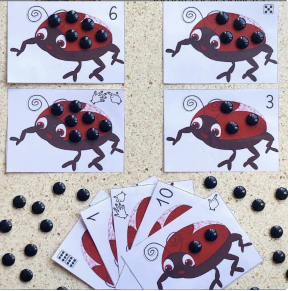 Coccinelles à dénombrer