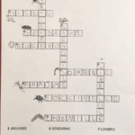 Mots croisés drôle de coccinelle
