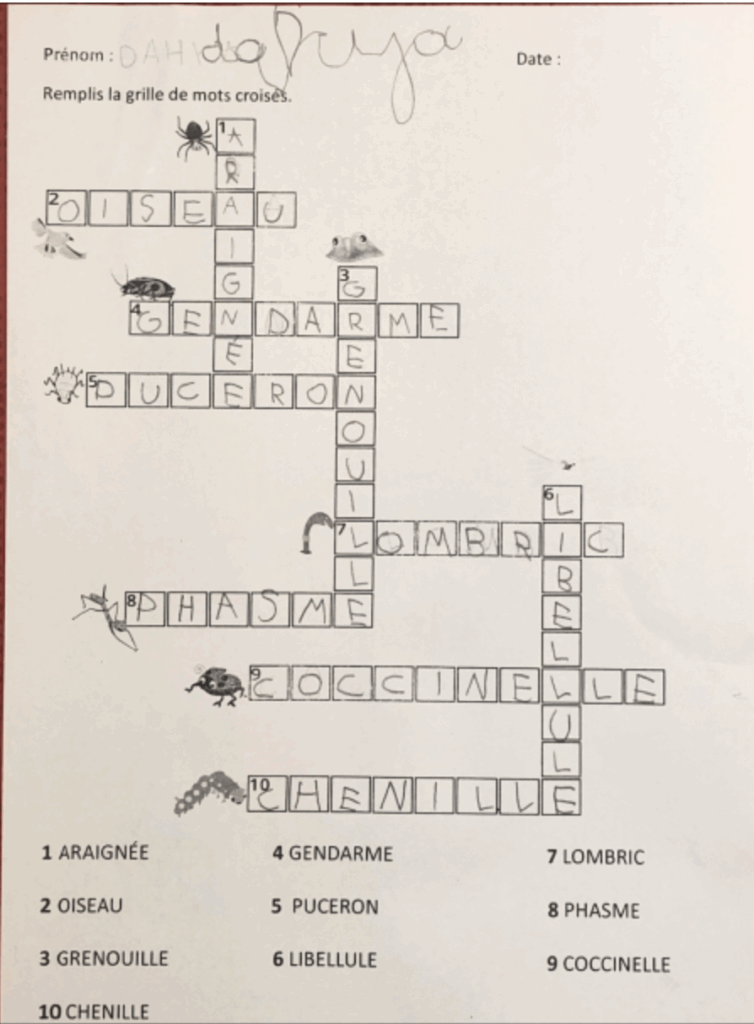 Mots croisés drôle de coccinelle