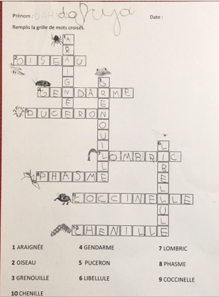 Mots croisés drôle de coccinelle