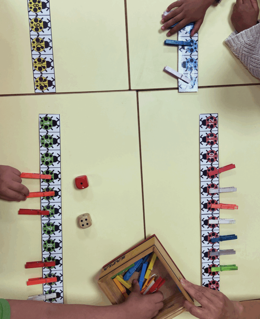 Jeu mathématiques coccinelles