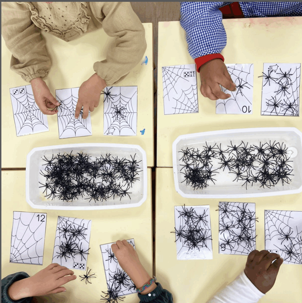 Dénombrement araignées