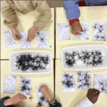 Dénombrement araignées