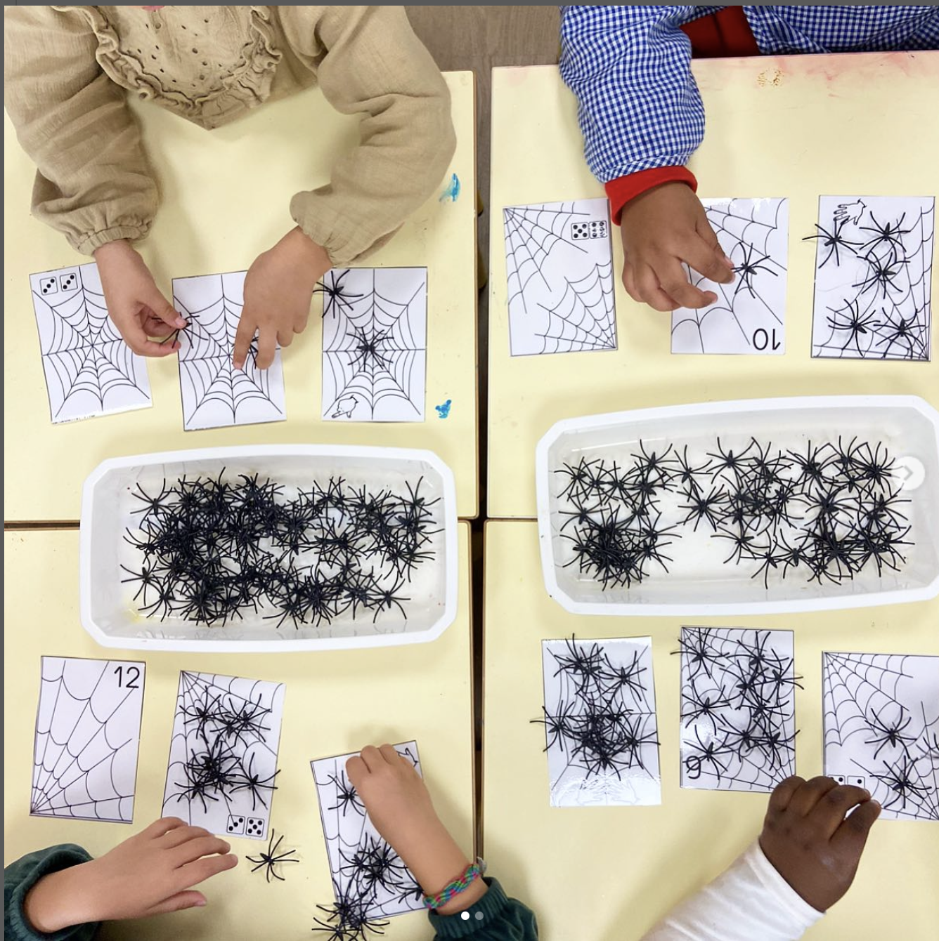 Dénombrement araignées