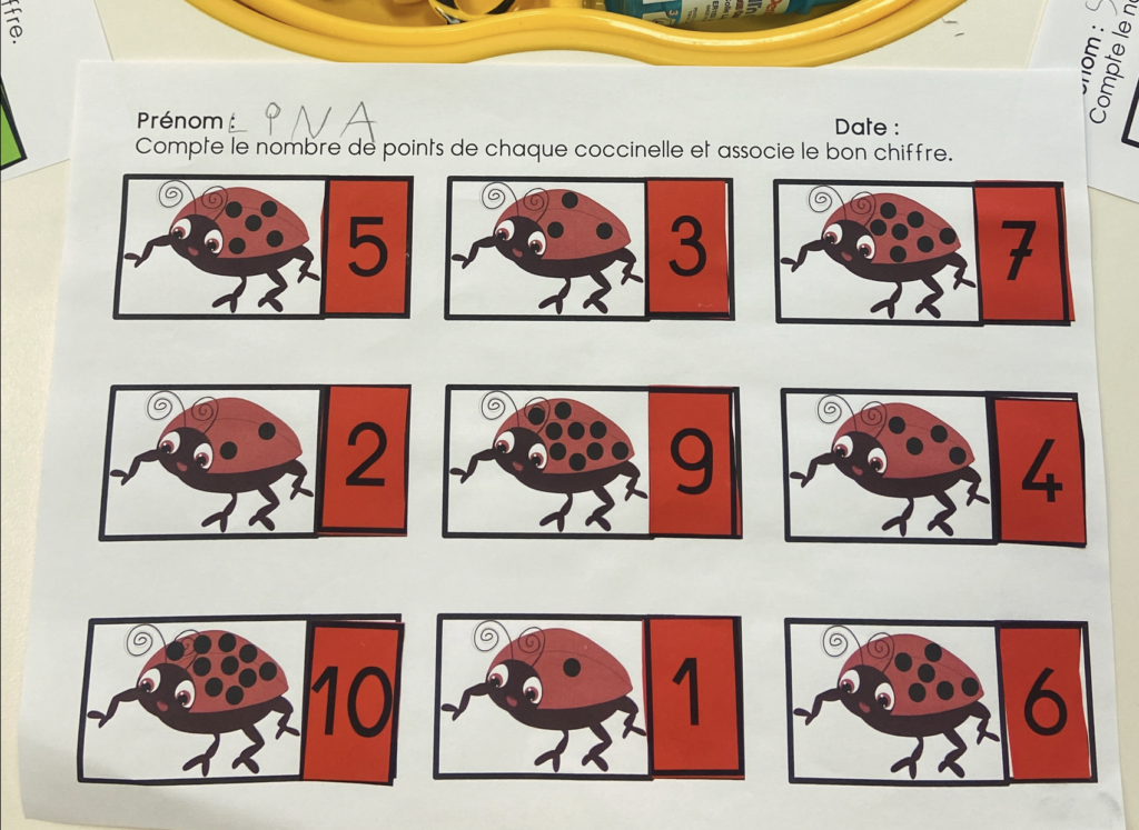 Les points des coccinelles