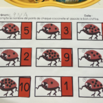 Les points des coccinelles