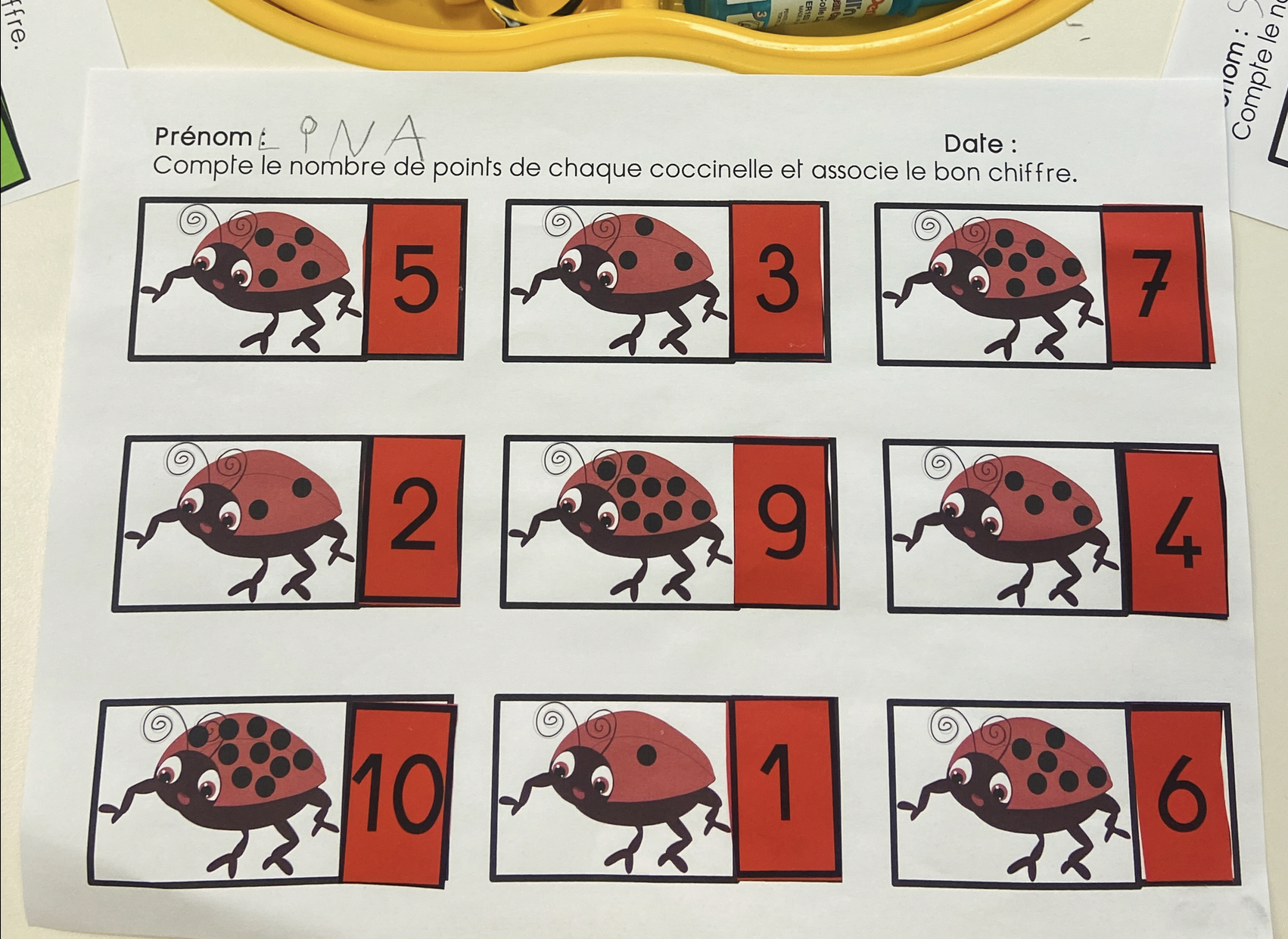 Les points des coccinelles