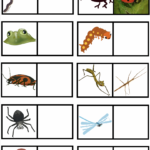 Association personnage / animal