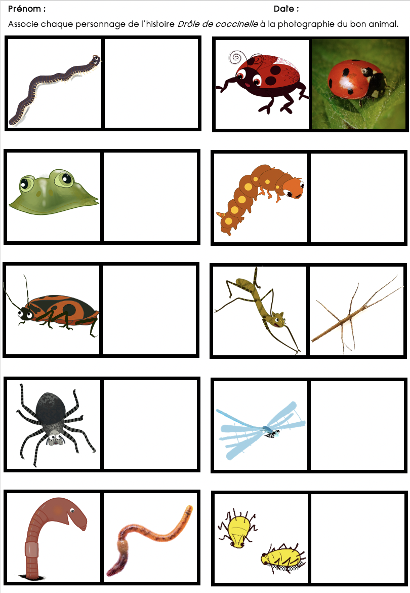 Association personnage / animal