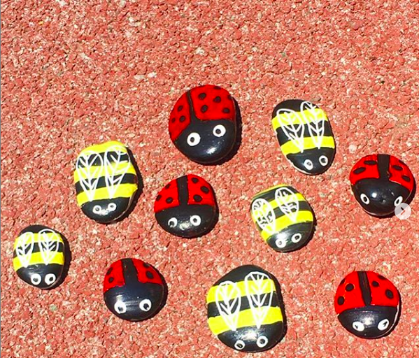 Peinture sur galet coccinelle et abeille