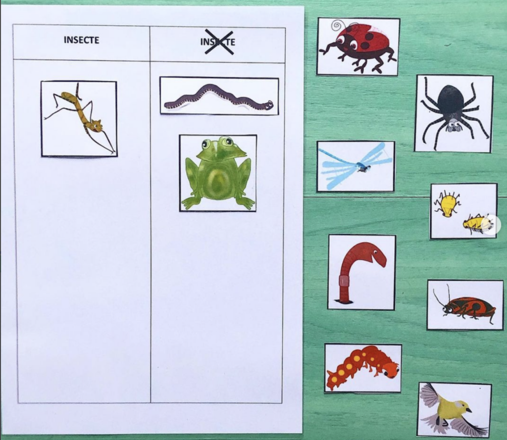 Tri Insectes / autres
