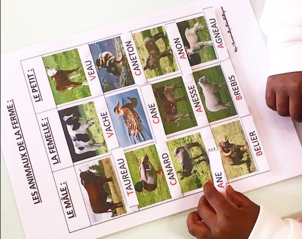 Animaux de la ferme : vocabulaire / principe alphabétique