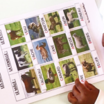 Animaux de la ferme : vocabulaire / principe alphabétique