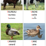 Imagier animaux de la ferme