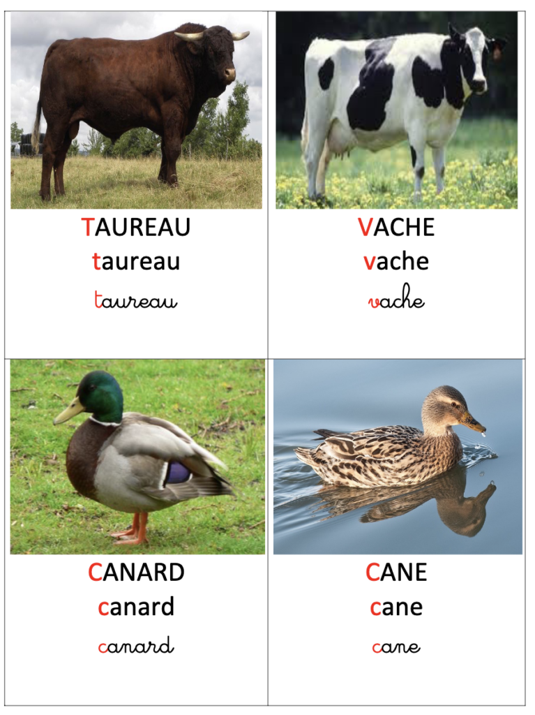 Imagier animaux de la ferme