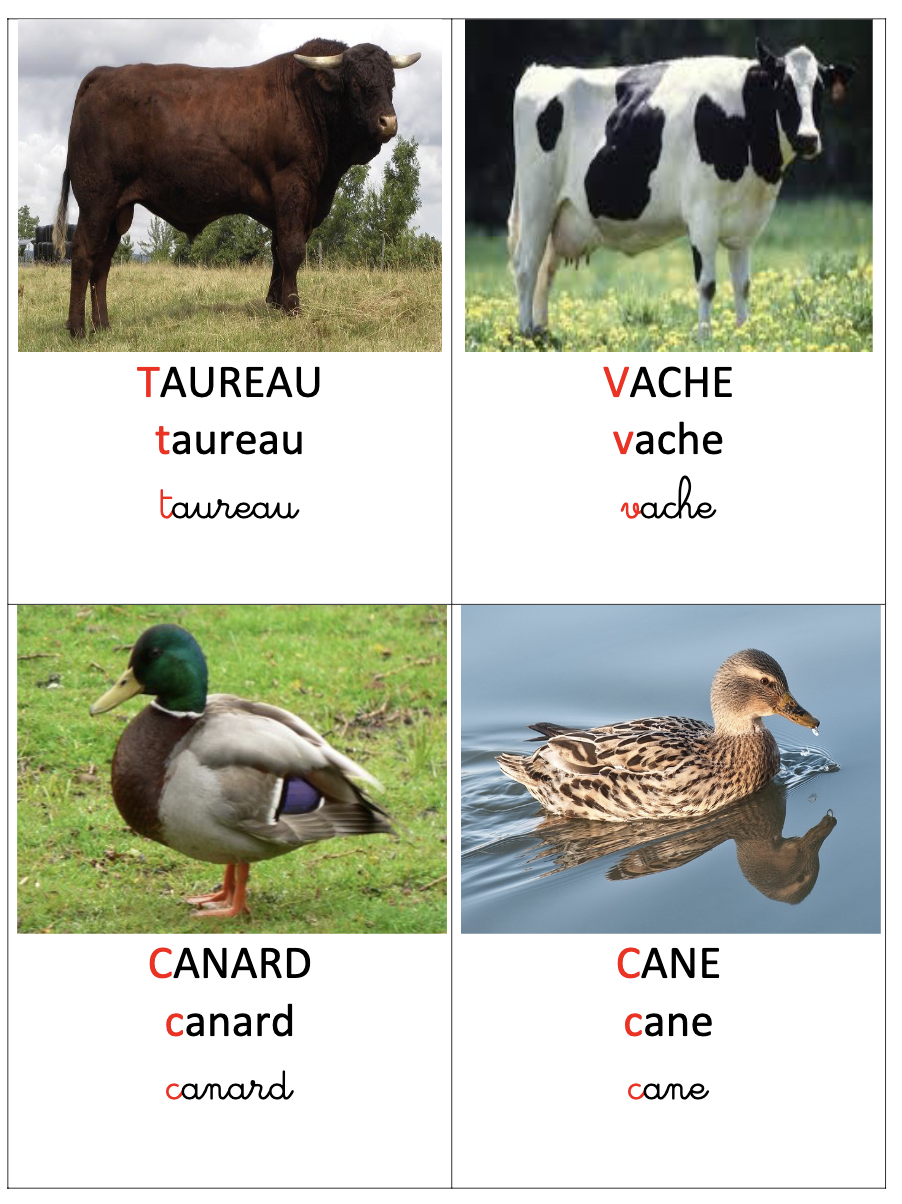 Imagier animaux de la ferme
