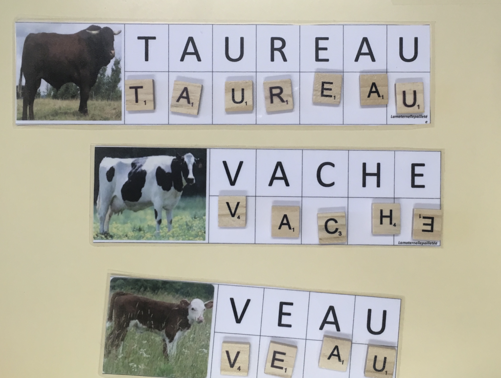 Lettres mobiles animaux de la ferme
