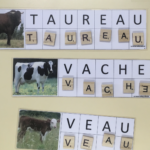 Lettres mobiles animaux de la ferme