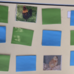 Memory animaux de la ferme