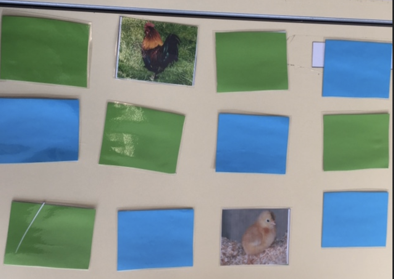 Memory animaux de la ferme