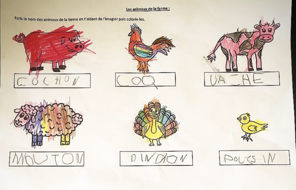 Ecriture nom des animaux de la ferme