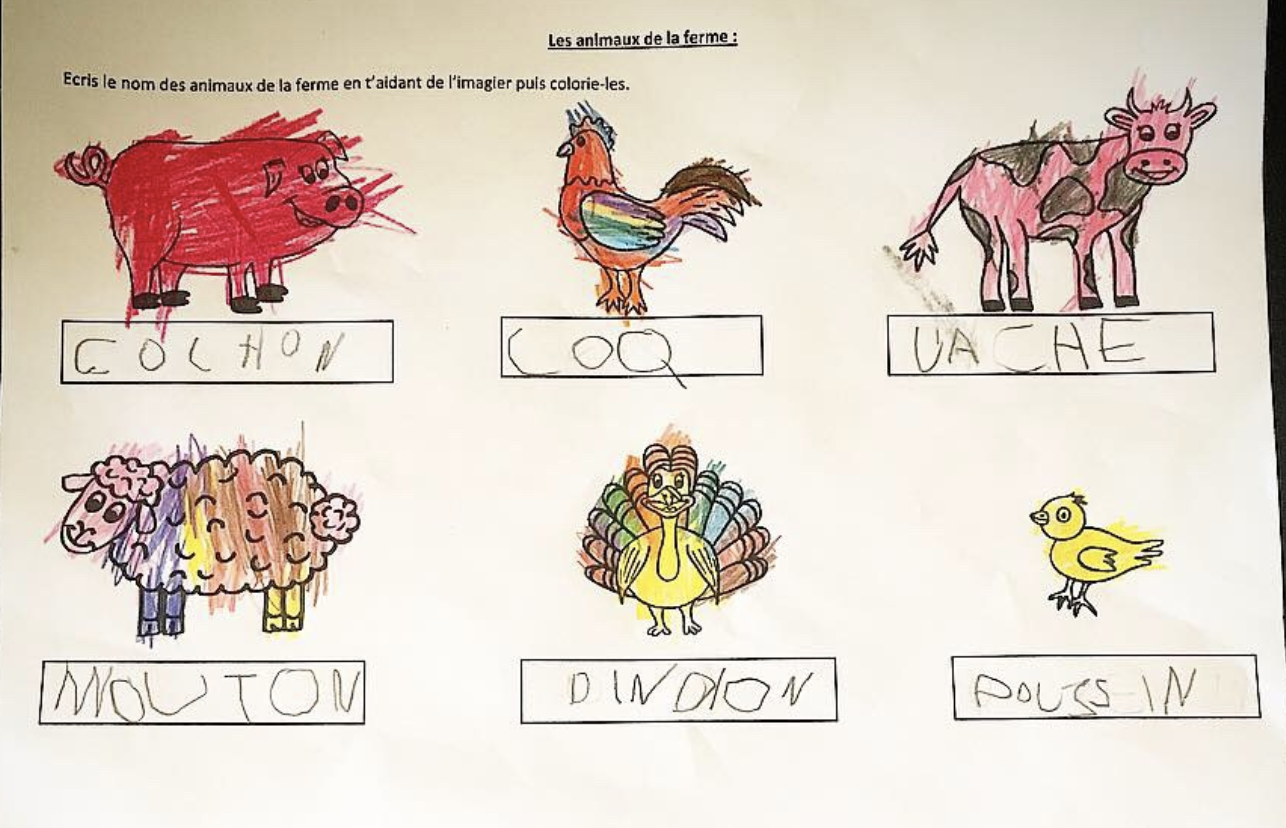Ecriture nom des animaux de la ferme