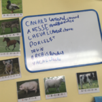 Dictées muettes animaux de la ferme