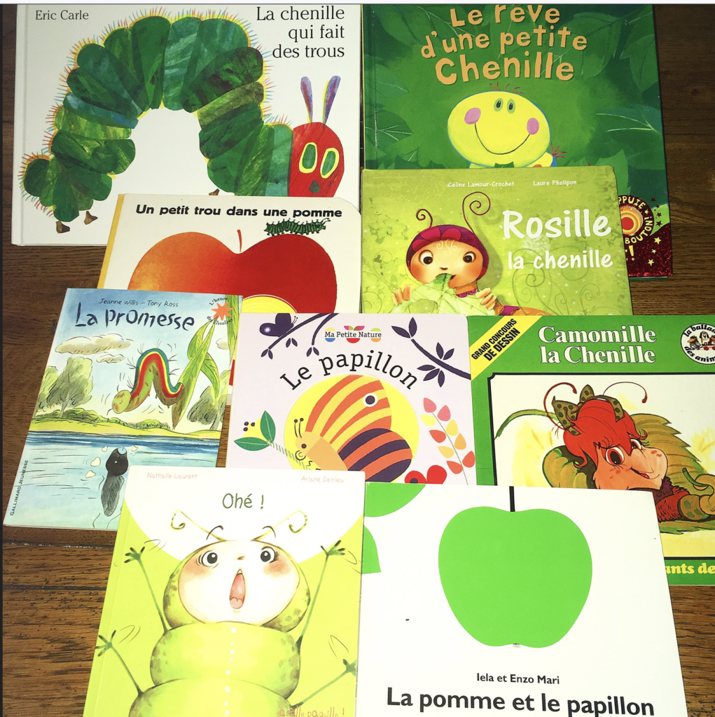 Sélection de livres sur les chenilles / papillons