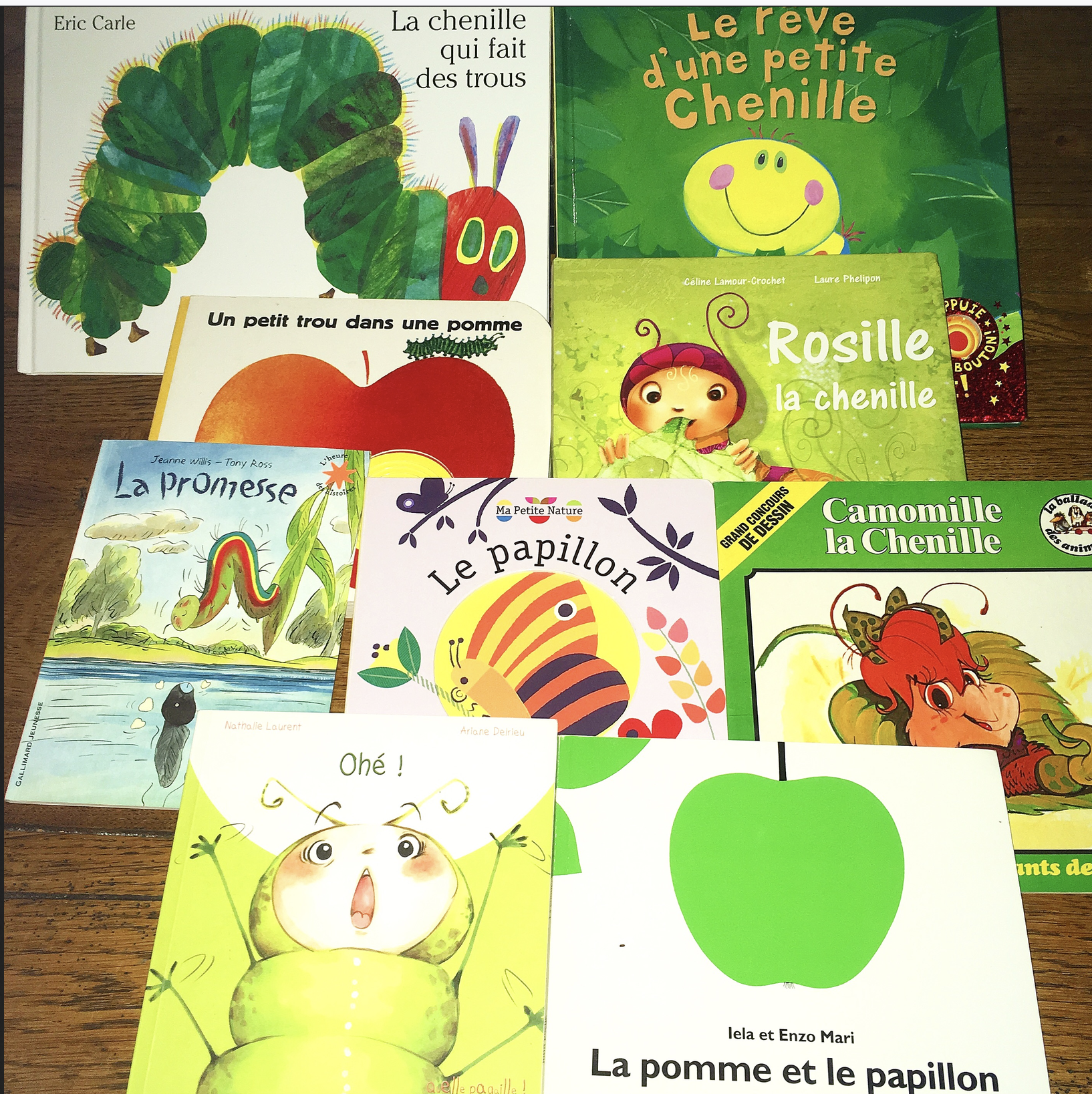 Sélection de livres sur les chenilles / papillons