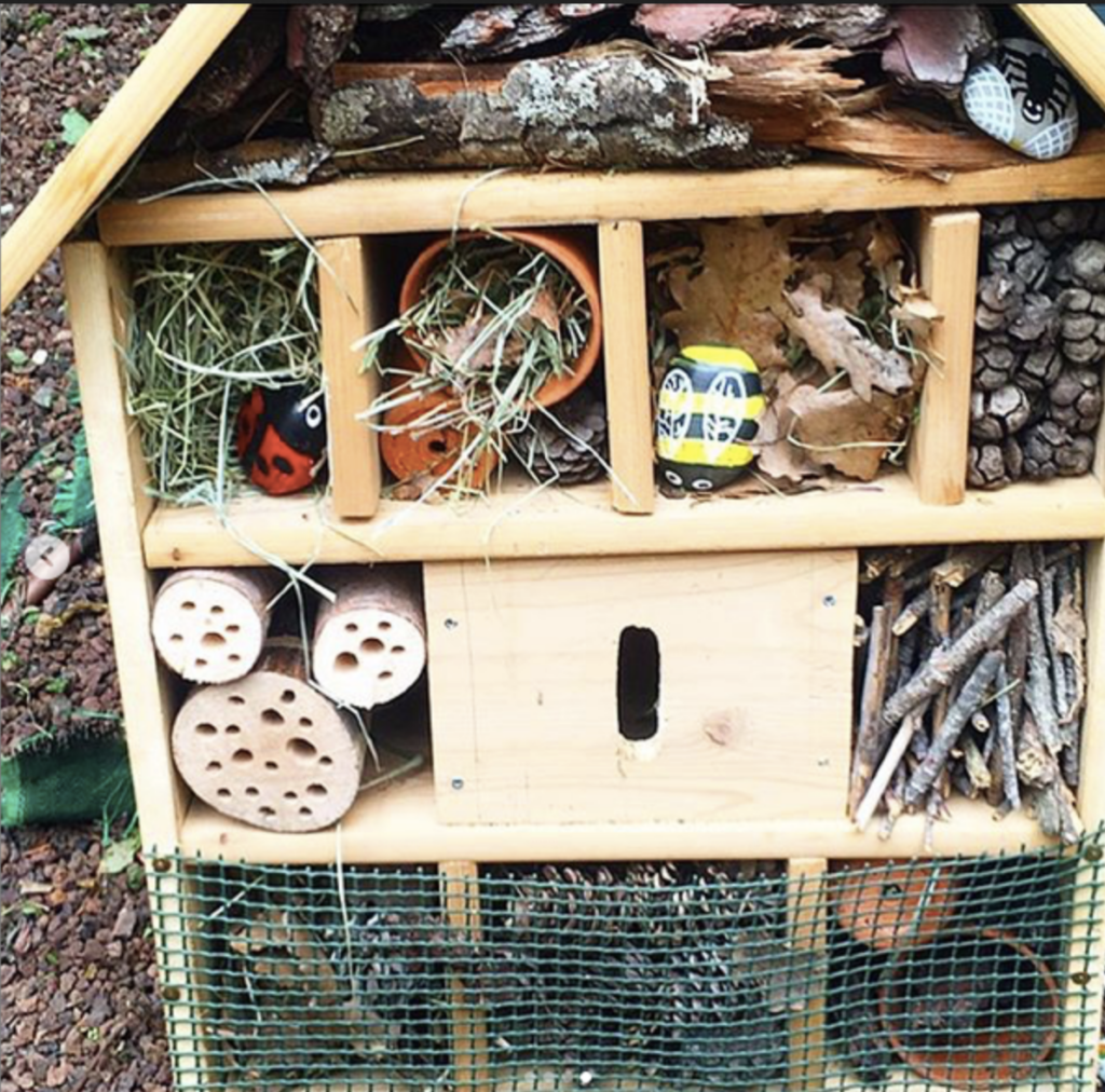 Maison à insectes maternelle