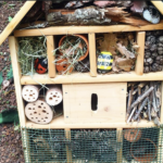 Maison à insectes maternelle