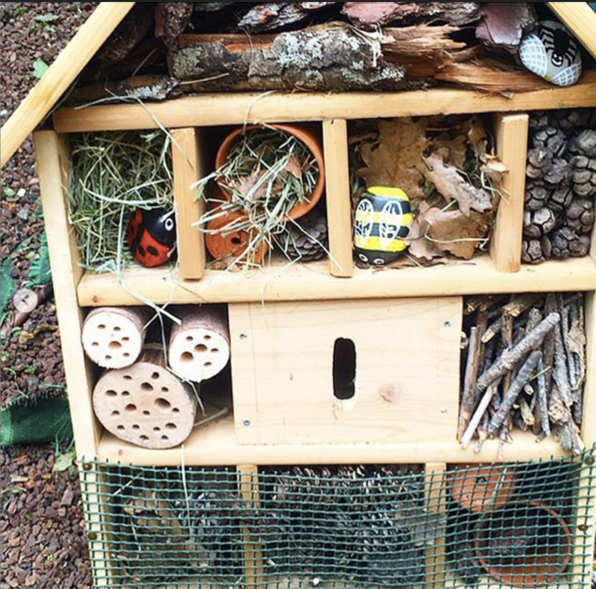 Maison à insectes maternelle