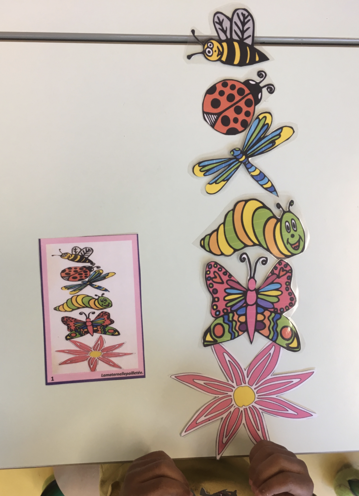 Topologie Petites bêtes du jardin