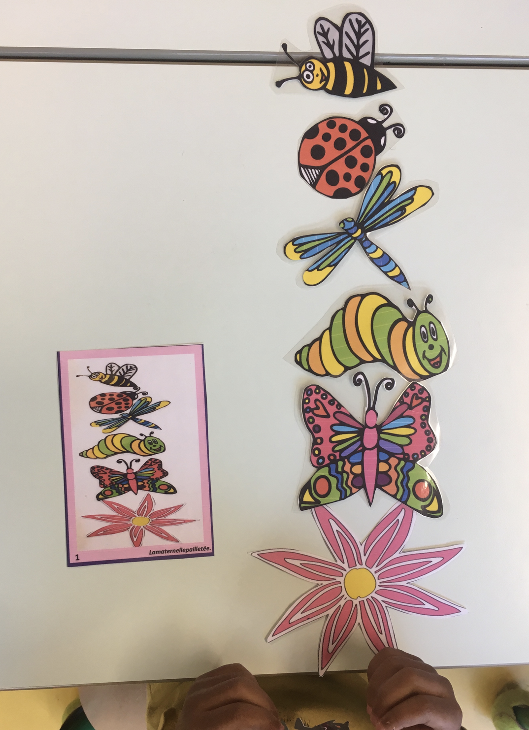 Topologie Petites bêtes du jardin