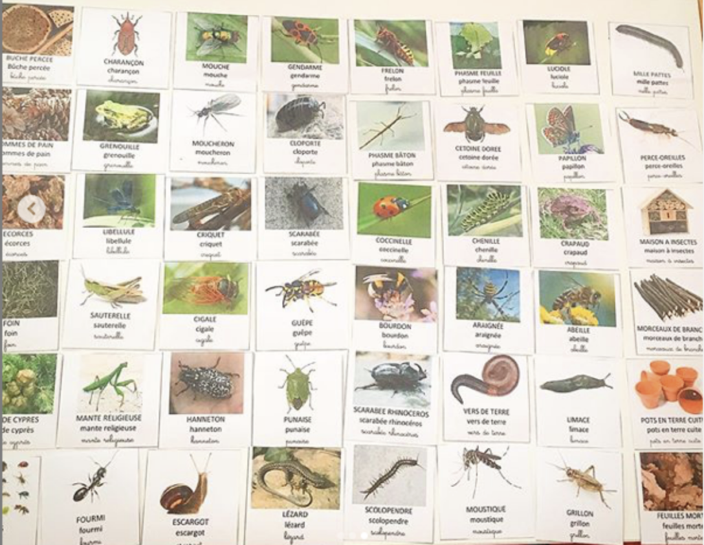 Imagier Petites bêtes du jardin + maison à insectes