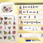 Codage et décodage parcours fléchés les petites bêtes du jardin