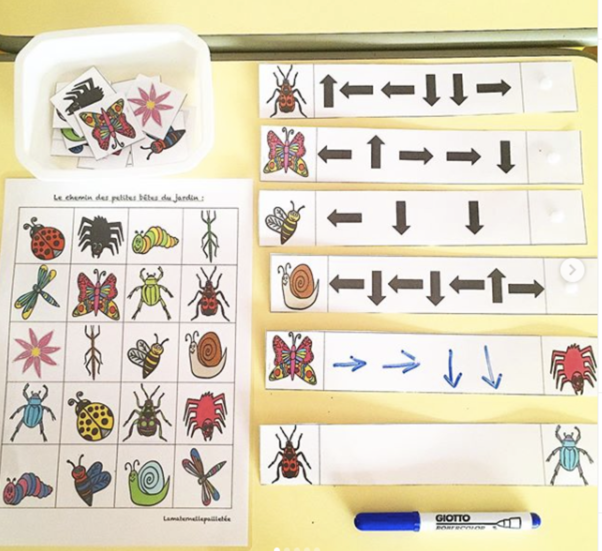 Codage et décodage parcours fléchés les petites bêtes du jardin