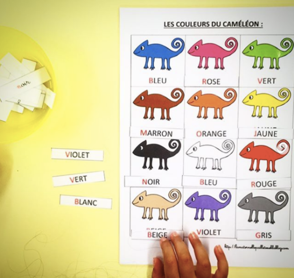 Le caméléon et les couleurs