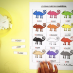 Le caméléon et les couleurs