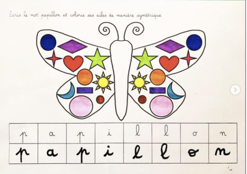 Symétrie et papillon