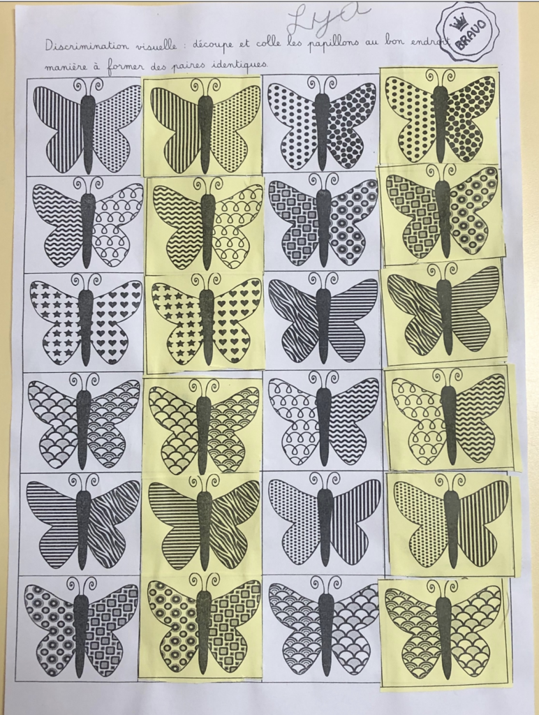 Discrimination visuelle : papillon