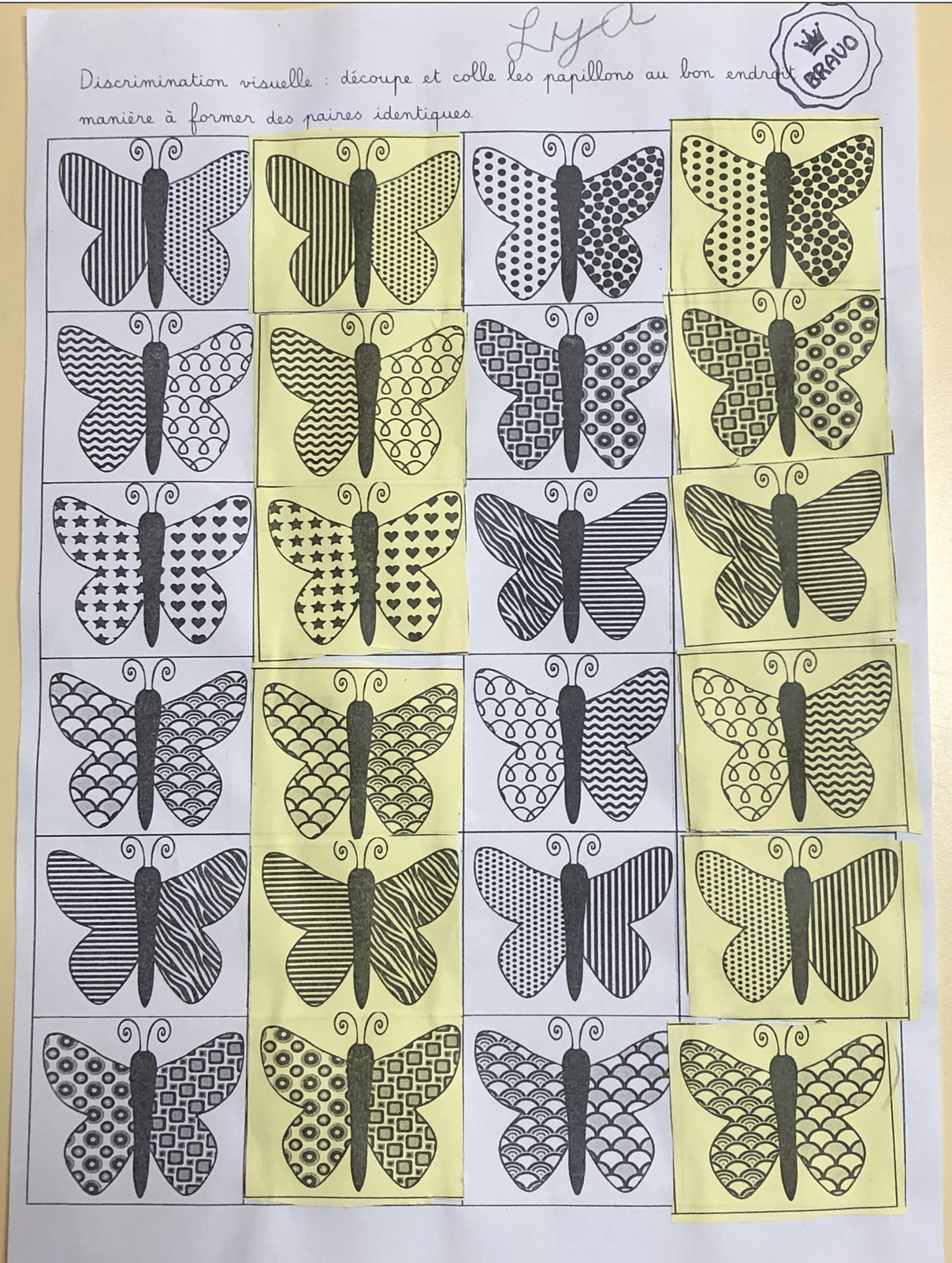 Discrimination visuelle : papillon