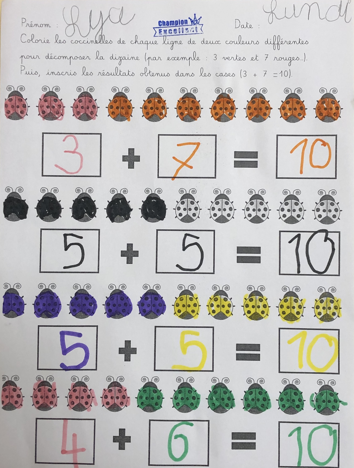 Décomposition coccinelles