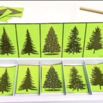 Discrimination visuelle sapins avec les boîtes à compter