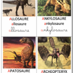 Imagier dinosaures