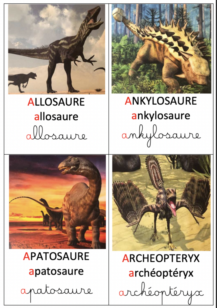 Imagier dinosaures