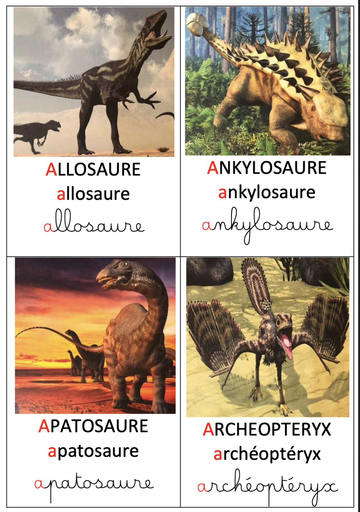 Imagier dinosaures