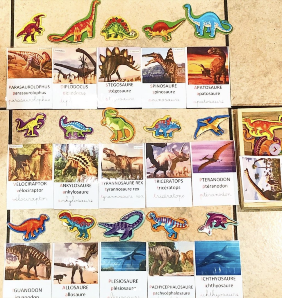 Atelier autonome dinosaure
