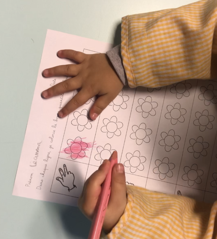Dénombrement : fleurs à colorier