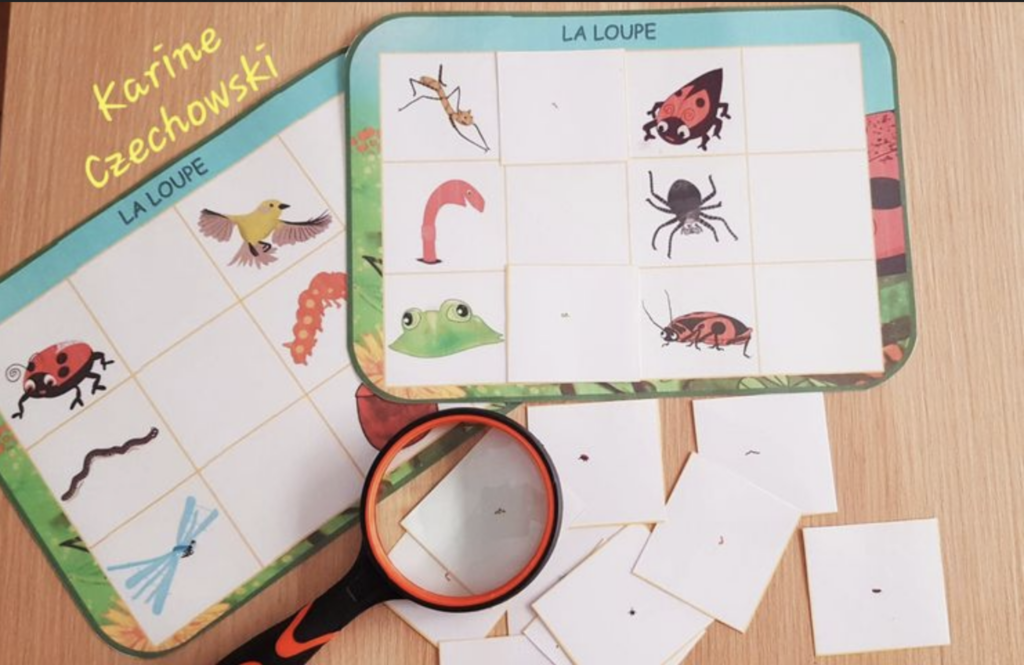 Atelier loupe Drôle de coccinelle